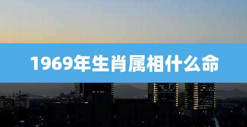 1969年生肖属相什么命