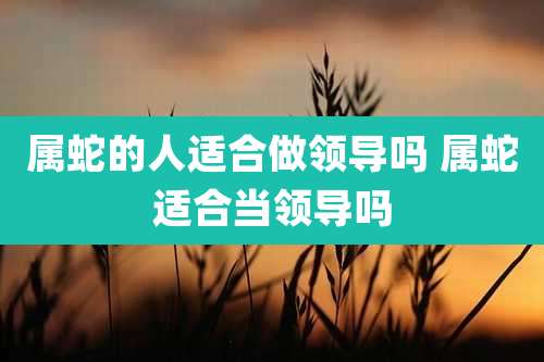属蛇的人适合做领导吗 属蛇适合当领导吗