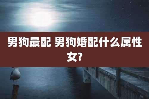 男狗最配 男狗婚配什么属性女?