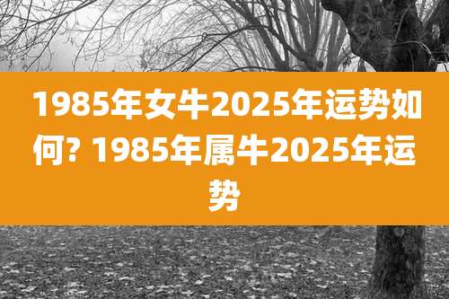 1985年女牛2025年运势如何? 1985年属牛2025年运势