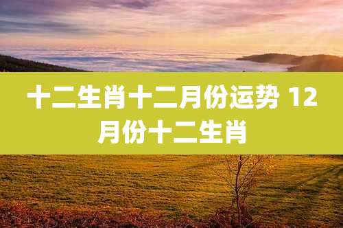 十二生肖十二月份运势 12月份十二生肖
