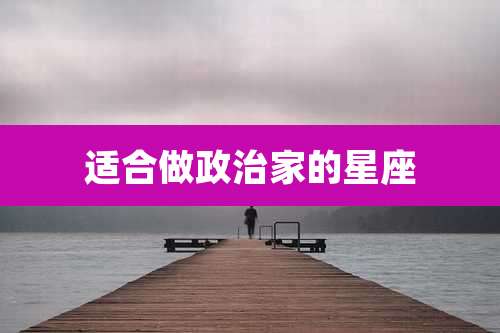 适合做政治家的星座