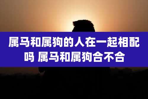属马和属狗的人在一起相配吗 属马和属狗合不合