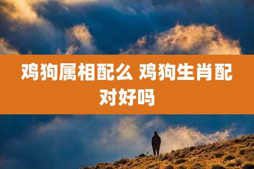 鸡狗属相配么 鸡狗生肖配对好吗