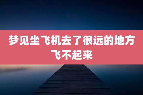 梦见坐飞机去了很远的地方飞不起来
