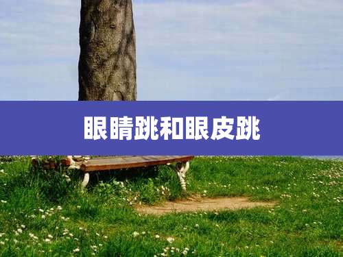 眼睛跳和眼皮跳