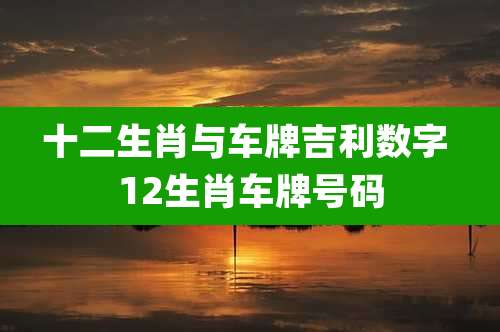 十二生肖与车牌吉利数字 12生肖车牌号码