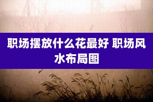 职场摆放什么花最好 职场风水布局图