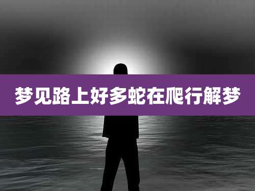 梦见路上好多蛇在爬行解梦