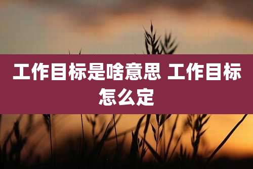 工作目标是啥意思 工作目标怎么定