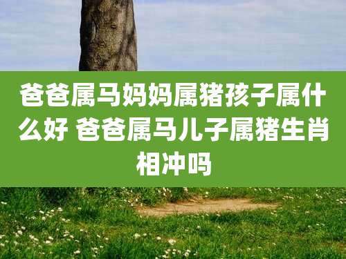 爸爸属马妈妈属猪孩子属什么好 爸爸属马儿子属猪生肖相冲吗