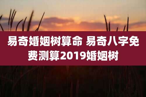 易奇婚姻树算命 易奇八字免费测算2019婚姻树