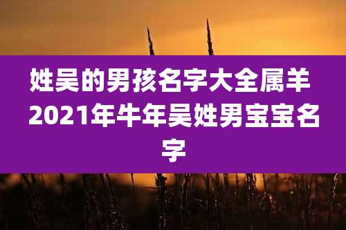 姓吴的男孩名字大全属羊 2021年牛年吴姓男宝宝名字