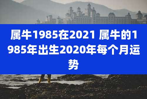 属牛1985在2021 属牛的1985年出生2020年每个月运势