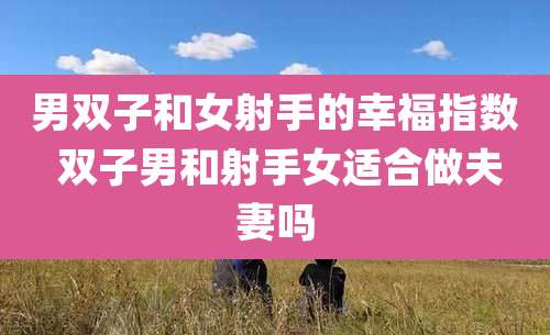 男双子和女射手的幸福指数 双子男和射手女适合做夫妻吗