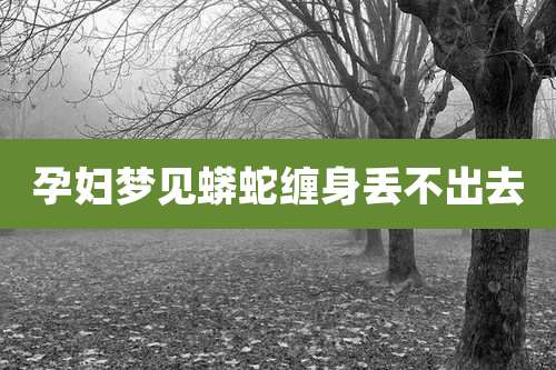 孕妇梦见蟒蛇缠身丢不出去