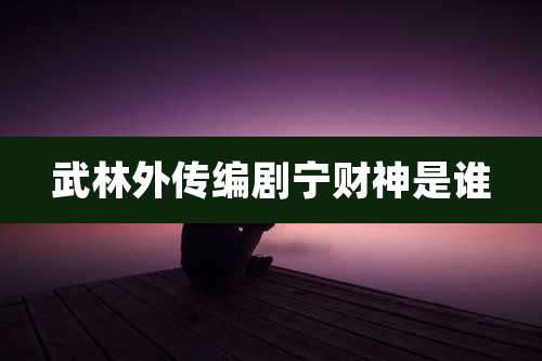 武林外传编剧宁财神是谁