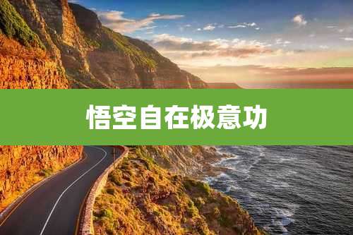 悟空自在极意功