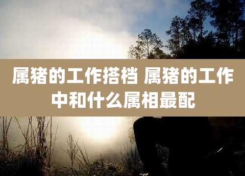 属猪的工作搭档 属猪的工作中和什么属相最配