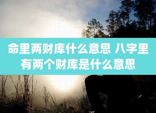 命里两财库什么意思 八字里有两个财库是什么意思