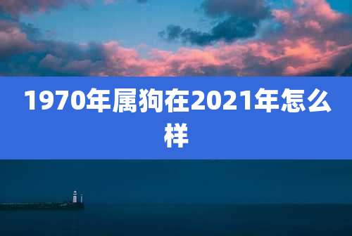 1970年属狗在2021年怎么样