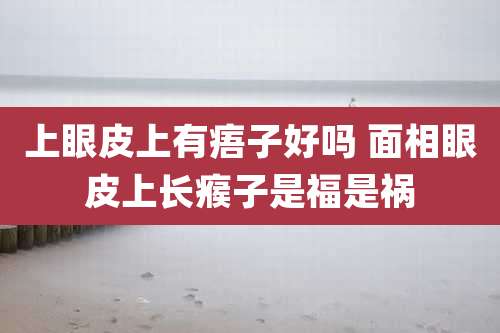 上眼皮上有痦子好吗 面相眼皮上长瘊子是福是祸