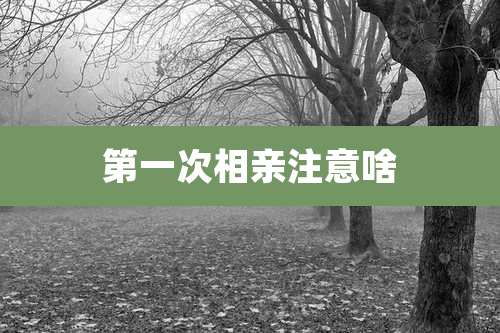 第一次相亲注意啥