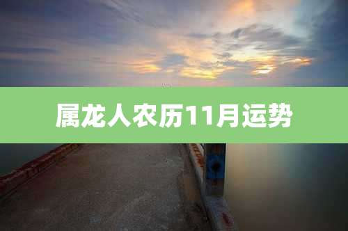 属龙人农历11月运势