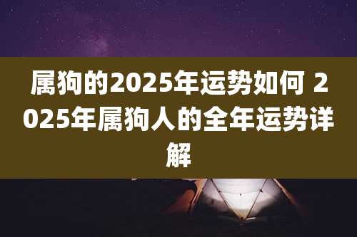 属狗的2025年运势如何 2025年属狗人的全年运势详解