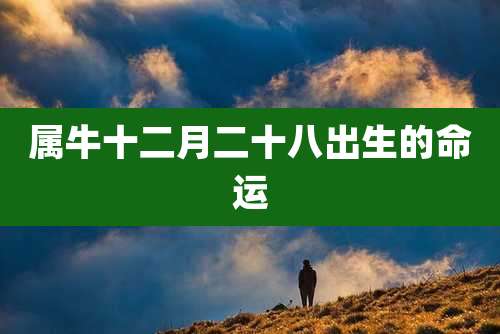 属牛十二月二十八出生的命运