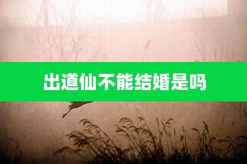 出道仙不能结婚是吗