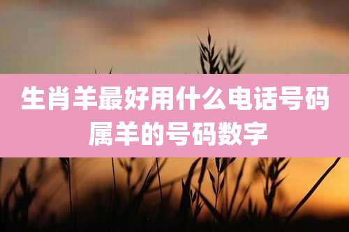 生肖羊最好用什么电话号码 属羊的号码数字
