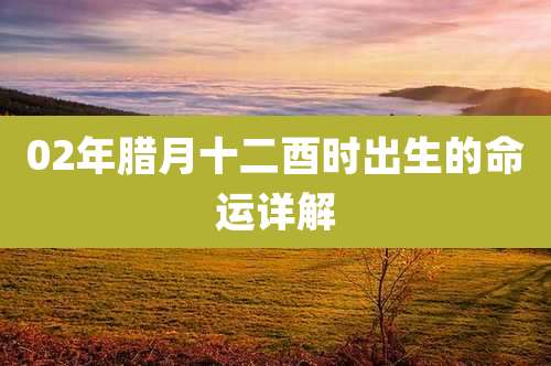 02年腊月十二酉时出生的命运详解
