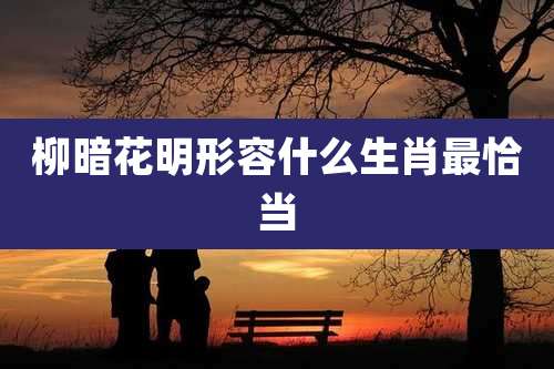 柳暗花明形容什么生肖最恰当