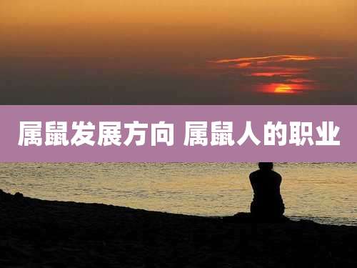 属鼠发展方向 属鼠人的职业