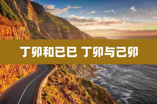 丁卯和已巳 丁卯与己卯