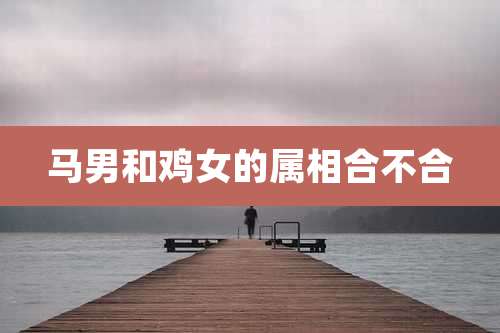 马男和鸡女的属相合不合
