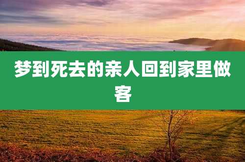 梦到死去的亲人回到家里做客