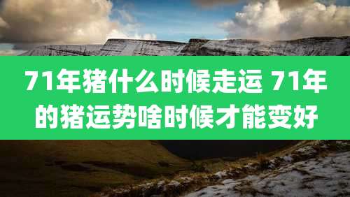 71年猪什么时候走运 71年的猪运势啥时候才能变好