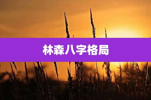 林森八字格局