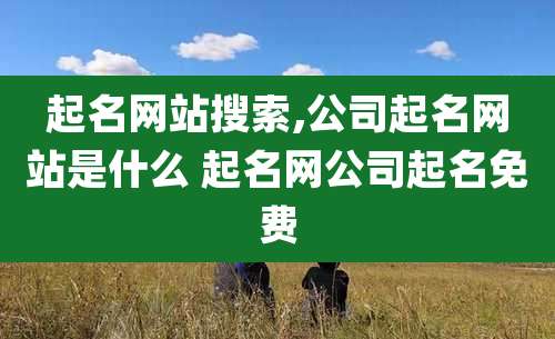 起名网站搜索,公司起名网站是什么 起名网公司起名免费