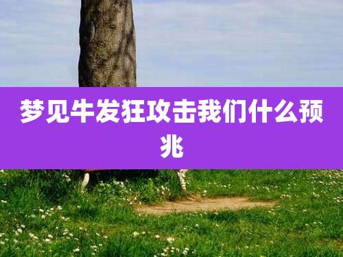 梦见牛发狂攻击我们什么预兆