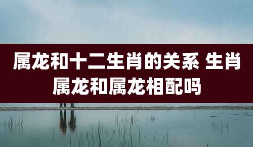 属龙和十二生肖的关系 生肖属龙和属龙相配吗