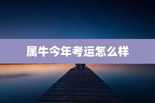 属牛今年考运怎么样