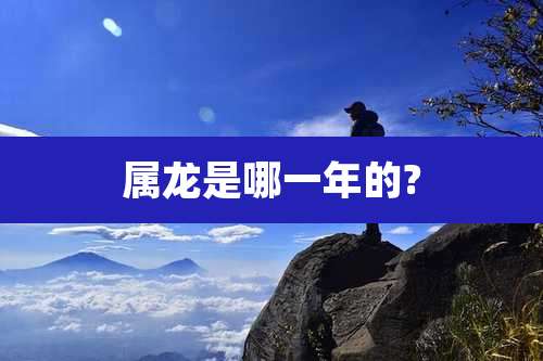 属龙是哪一年的?