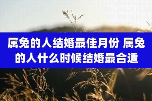 属兔的人结婚最佳月份 属兔的人什么时候结婚最合适
