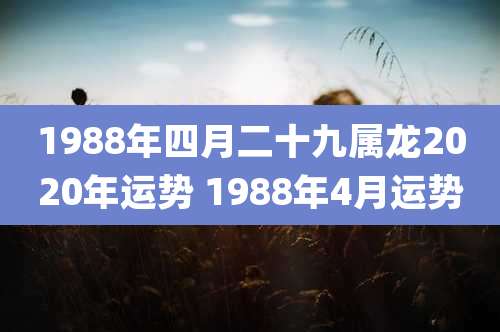 1988年四月二十九属龙2020年运势 1988年4月运势