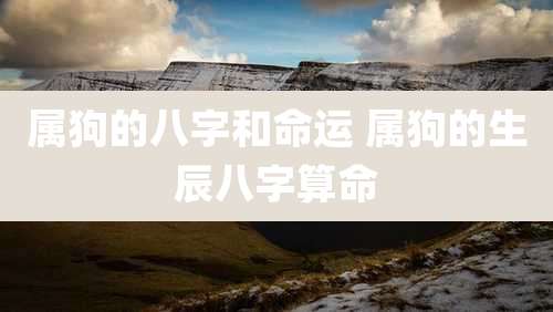 属狗的八字和命运 属狗的生辰八字算命