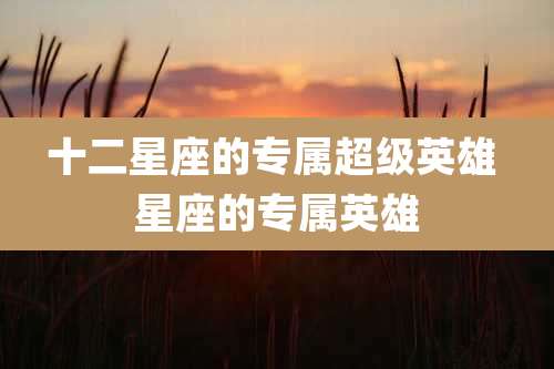 十二星座的专属超级英雄 星座的专属英雄