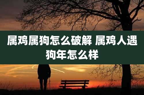 属鸡属狗怎么破解 属鸡人遇狗年怎么样
